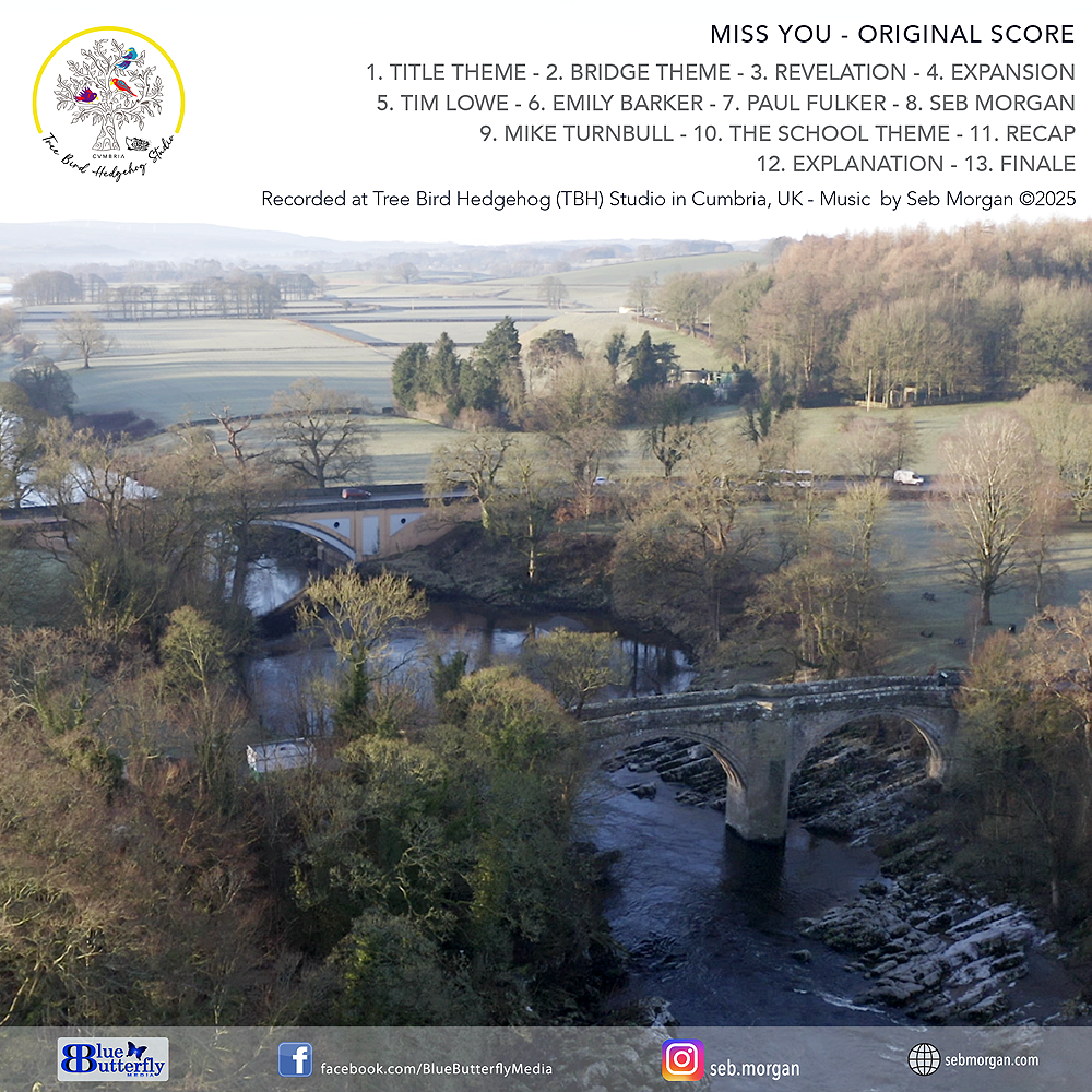 Seb Morgan - Miss You - Original Film Soundtrack