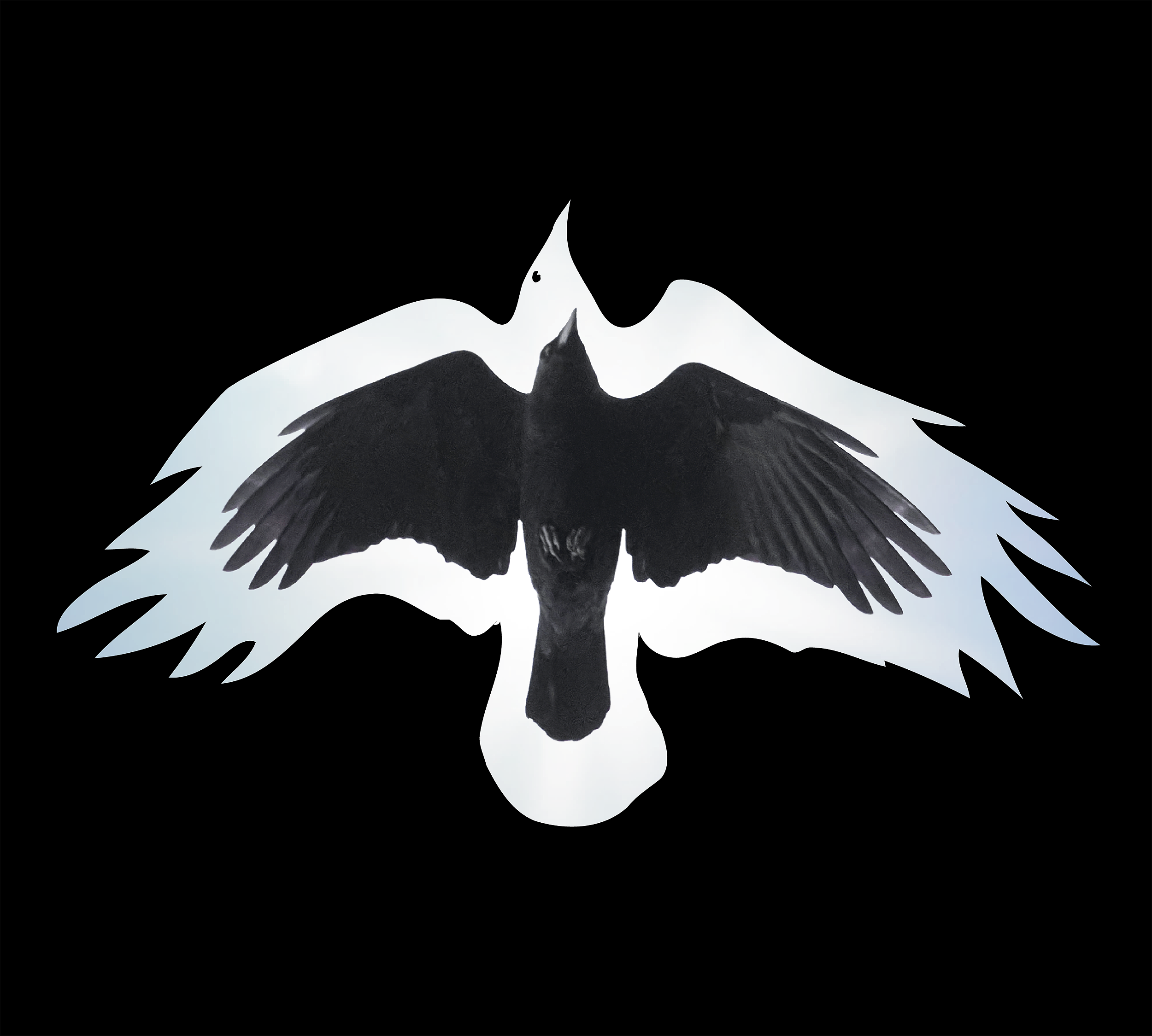 Falling Then Flying<br>(full double album) - Image 3