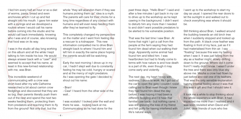 Seb Morgan - Falling Then Flying - Album Booklet